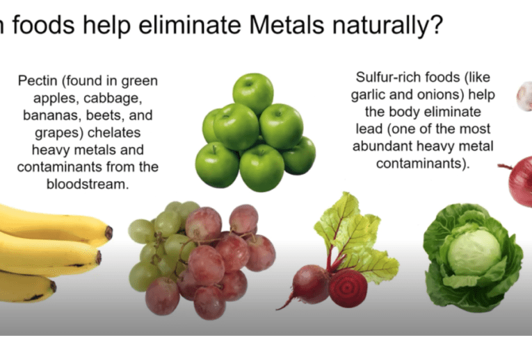 Eliminate Heavy Metals Naturally in Charleston